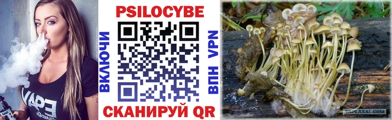 цены наркотик  Новотитаровская  Псилоцибиновые грибы мицелий 